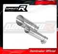 exhaust muffler DOMINATOR GP3 fits to S 1000 R 2017  2020 2