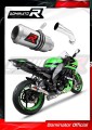 ZX10R EXHAUST Kawasaki Muffler Auspuff Sportauspuff Silencer Echappement Silencieux Scarico Scarichi Escape Wydech Tłumik GP 2008 - 2010 Dominator