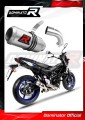 wydech tłumik DOMINATOR GP pasujący do motocykla Suzuki SV 650 2016 - 2023