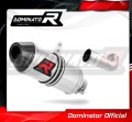 exhaust muffler DOMINATOR HP3 fits to KTM RC 125 2017  2020