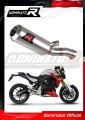 exhaust muffler DOMINATOR GP fits to BMW F900R 2020  2026