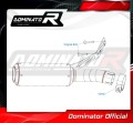 exhaust muffler DOMINATOR GP fits to BMW F900R 2020  2026 5