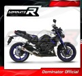 exhaust muffler DOMINATOR GP fits to Yamaha FZ8 FAZER 2010  2016 3