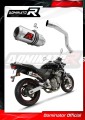 exhaust muffler DOMINATOR GP fits to Honda CB 600F HORNET 1998  2002