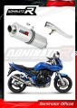 GSF 650S BANDIT EXHAUST Suzuki Muffler Auspuff Sportauspuff Silencer Echappement Silencieux Scarico Scarichi Escape Wydech Tłumik OVAL 2005 - 2006 dominator