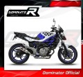 SUZUKI SFV 650 GLADIUS   Exhaust Cat Eliminator Catalyst Catalytic Converter Linkpipe Decat Downpipe  2009/2015 DOMINATOR 3
