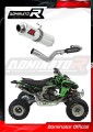 complete exhaust system with muffler DOMINATOR Full System GP1 fits to Kawasaki KFX 450 2008  2014