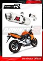 ER-6N ER-6F 650 EXHAUST Kawasaki Muffler Auspuff Sportauspuff Silencer Echappement Silencieux Scarico Scarichi Escape Wydech Tłumik OVAL 2009 - 2011 Dominator