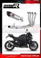 complete exhaust system with muffler DOMINATOR Full System HP8 fits to Suzuki GSXS 1000 / F 2015  2020