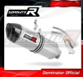 exhaust muffler DOMINATOR HP1 fits to BMW S1000RR 2017  2018 2