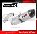 exhaust muffler DOMINATOR HP1 fits to BMW R1200R 2006  2009