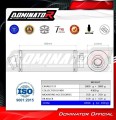 Yamaha XJ 900 Diversion 1994-2003 Motorcycle Dominator Exhaust Full system Collector Manifold Muffler Pot d'échappement Marmitta Escape ST 5