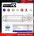 SV 650 S EXHAUST Suzuki Muffler Auspuff Sportauspuff Silencer Echappement Silencieux Scarico Scarichi Escape Wydech Tłumik Carbon Tip HP1 1999 - 2002 Dominator 3