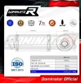 CBF 250 EXHAUST Honda Muffler Auspuff Sportauspuff Silencer Echappement Silencieux Scarico Scarichi Escape Wydech Tłumik GP 1 2004 - 2006 Dominator 1