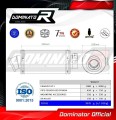 exhaust muffler DOMINATOR GP1 fits to Aprilia Pegaso 650 Strada 2005  2006 2