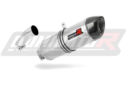 exhaust muffler DOMINATOR HP1 fits to BMW F800R 2009  2019 3