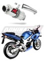 exhaust muffler DOMINATOR GP1 fits to Suzuki SV 650 S 1999  2002 5