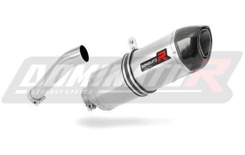 exhaust muffler DOMINATOR HP1 fits to BMW F650GS 2000  2003 3