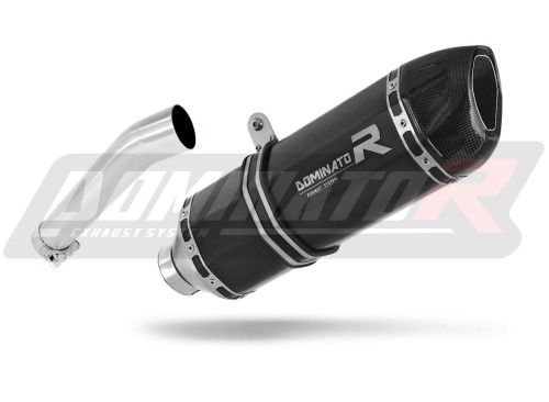 exhaust muffler DOMINATOR HP1 BLACK fits to BMW F650GS 2000  2003 2