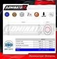 RSV 1000 R Exhaust Aprilia Muffler Auspuff Sportauspuff Silencer Echappement Silencieux Scarico Scarichi Escape OVR 2004 - 2009 Dominator 1