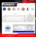 TDM 900 EXHAUST Yamaha Muffler Auspuff Sportauspuff Silencer Echappement Silencieux Scarico Scarichi Escape Wydech Tłumik OVR BL 2002 - 2009 DOMINATOR  1