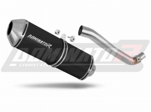 Suzuki DR 650SE 1997 - 2009 EXHAUST Muffler Auspuff Sportauspuff Silencer Echappement Silencieux Scarico Scarichi Escape Wydech Tłumik OVR BL Dominator Exhaust System x