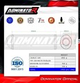 CBR 900 RR FIREBLADE SC33 EXHAUST Honda Muffler Auspuff Sportauspuff Silencer Echappement Silencieux Scarico Scarichi Escape Wydech Tłumik OVR BL 1996 - 1999 Dominator 1