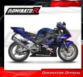 exhaust muffler DOMINATOR titanium HP6 fits to Honda CBR 954 2002  2003 5