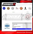 exhaust muffler DOMINATOR OV fits to Honda CBF 600 2004  2007 3