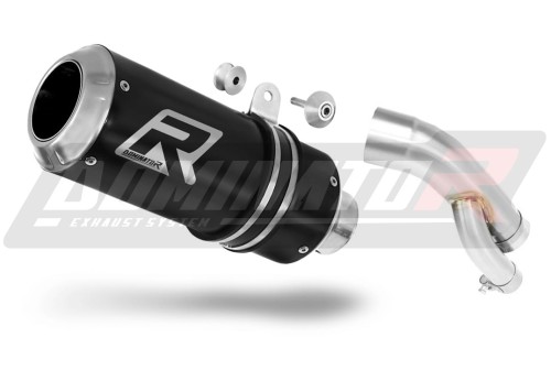 exhaust muffler DOMINATOR GP BLACK fits to BMW S1000R 2017  2020