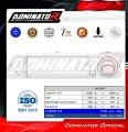 exhaust muffler DOMINATOR GPF fits to Yamaha TDM 900 2002  2013 6