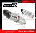 RSV 1000 R Exhaust Aprilia Muffler Auspuff Sportauspuff Silencer Echappement Silencieux Scarico Scarichi Escape Carbon Tip HP1 2004 - 2009 Dominator 