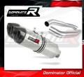 CBR 1000F DUAL EXHAUST Honda Muffler Auspuff Sportauspuff Silencer Echappement Silencieux Scarico Scarichi Escape Wydech Tłumik Carbon Tip HP1 1988 - 2000 Dominator 