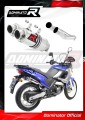 Pegaso 650 Exhaust Aprilia Muffler Auspuff Sportauspuff Silencer Echappement Silencieux Scarico Scarichi Escape GP 1 1997 - 2000 Dominator 