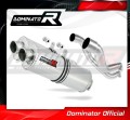 Pegaso 650 Strada Exhaust Aprilia Muffler Auspuff Sportauspuff Silencer Echappement Silencieux Scarico Scarichi Escape OVAL 2007 - 2010 Dominator 1