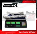 XJR 1200 Exhaust DOWN PIPE 1995 - 1998 DOMINATOR  3