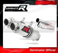 MONSTER 620 EXHAUST Ducati Muffler Auspuff Sportauspuff Silencer Echappement Silencieux Scarico Scarichi Escape Wydech Tłumik GP 1 2002 - 2006 Dominator 